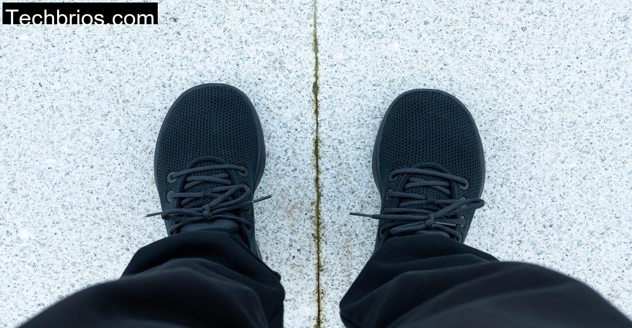 allbirds-tree-runners