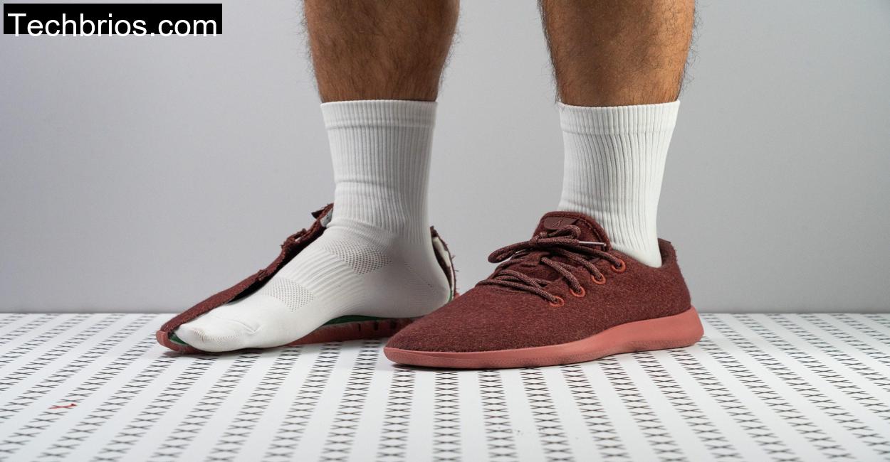 allbirds-wool-runners
